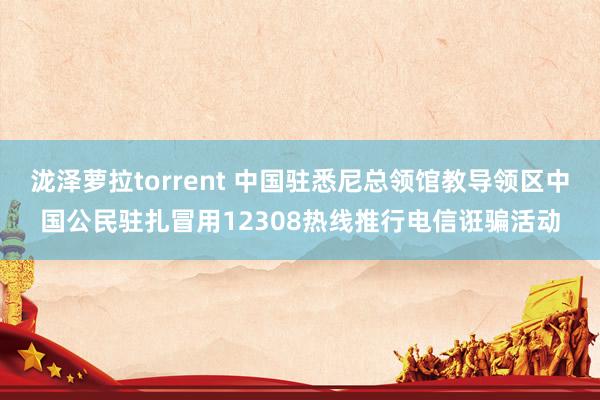 泷泽萝拉torrent 中国驻悉尼总领馆教导领区中国公民驻扎冒用12308热线推行电信诳骗活动