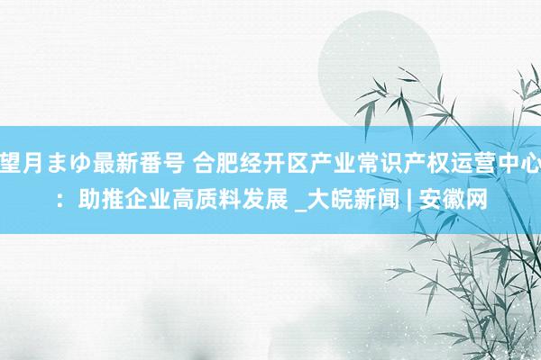 望月まゆ最新番号 合肥经开区产业常识产权运营中心：助推企业高质料发展 _大皖新闻 | 安徽网