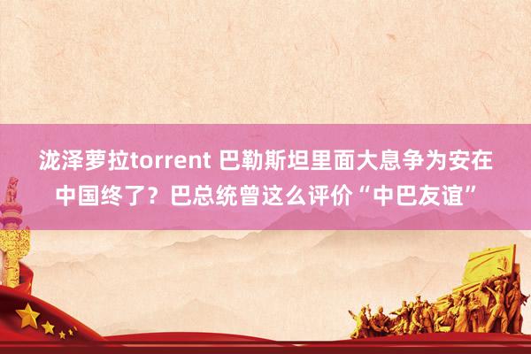 泷泽萝拉torrent 巴勒斯坦里面大息争为安在中国终了？巴总统曾这么评价“中巴友谊”