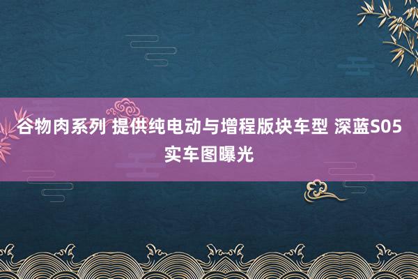 谷物肉系列 提供纯电动与增程版块车型 深蓝S05实车图曝光