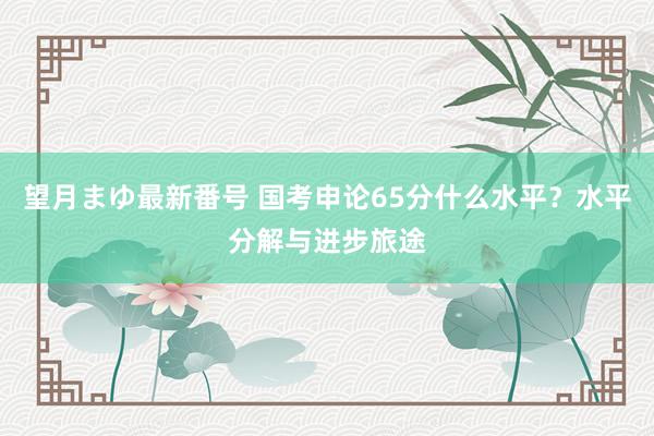 望月まゆ最新番号 国考申论65分什么水平？水平分解与进步旅途