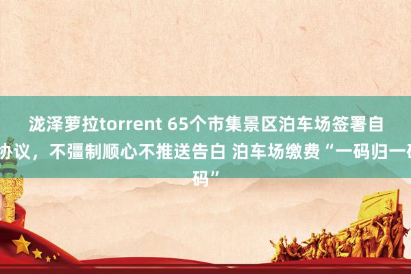 泷泽萝拉torrent 65个市集景区泊车场签署自律协议，不彊制顺心不推送告白 泊车场缴费“一码归一码”