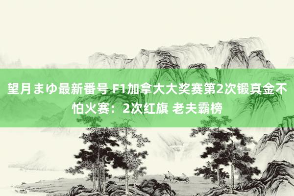 望月まゆ最新番号 F1加拿大大奖赛第2次锻真金不怕火赛：2次红旗 老夫霸榜