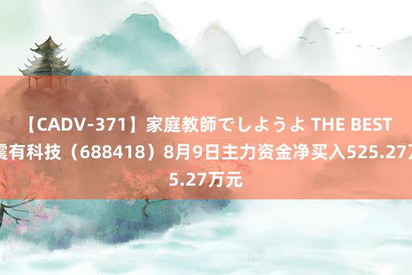 【CADV-371】家庭教師でしようよ THE BEST 2 震有科技（688418）8月9日主力资金净买入525.27万元