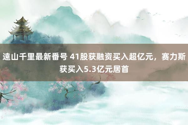 遠山千里最新番号 41股获融资买入超亿元，赛力斯获买入5.3亿元居首