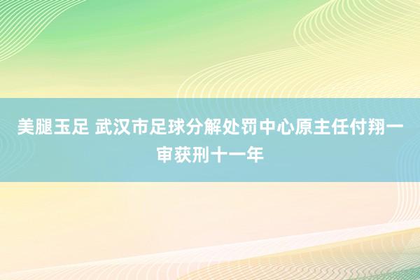 美腿玉足 武汉市足球分解处罚中心原主任付翔一审获刑十一年