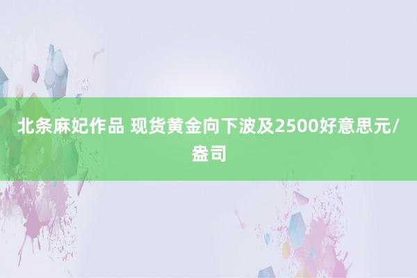 北条麻妃作品 现货黄金向下波及2500好意思元/盎司