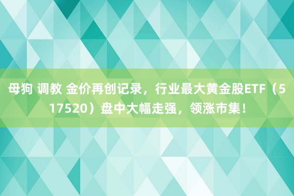 母狗 调教 金价再创记录，行业最大黄金股ETF（517520）盘中大幅走强，领涨市集！