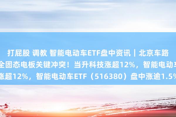 打屁股 调教 智能电动车ETF盘中资讯｜北京车路云相貌招标商酌发布+全固态电板关键冲突！当升科技涨超12%，智能电动车ETF（516380）盘中涨逾1.5%