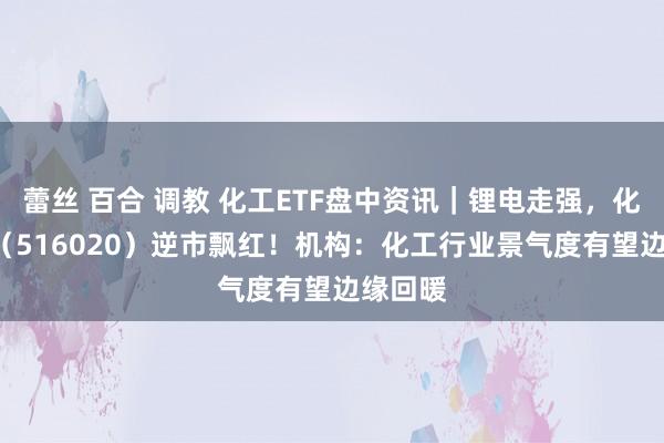 蕾丝 百合 调教 化工ETF盘中资讯｜锂电走强，化工ETF（516020）逆市飘红！机构：化工行业景气度有望边缘回暖