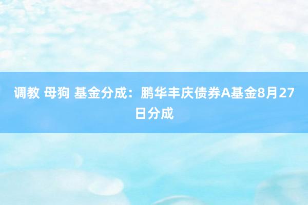 调教 母狗 基金分成：鹏华丰庆债券A基金8月27日分成