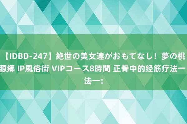 【IDBD-247】絶世の美女達がおもてなし！夢の桃源郷 IP風俗街 VIPコース8時間 正骨中的经筋疗法一：