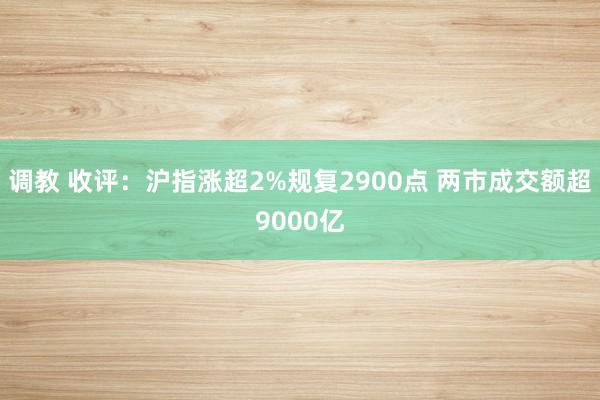 调教 收评：沪指涨超2%规复2900点 两市成交额超9000亿