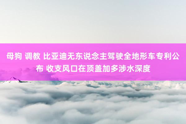 母狗 调教 比亚迪无东说念主驾驶全地形车专利公布 收支风口在顶盖加多涉水深度