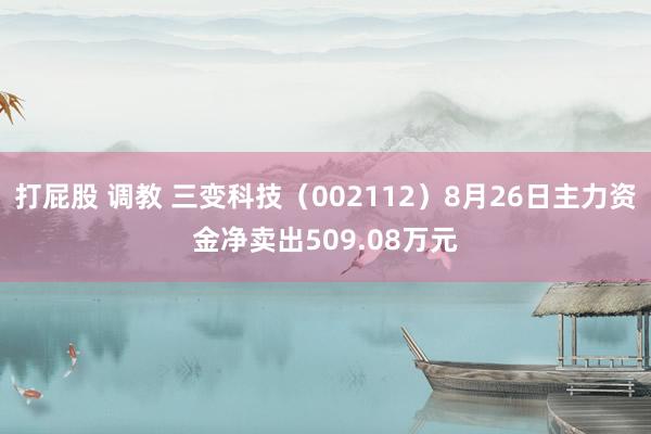 打屁股 调教 三变科技（002112）8月26日主力资金净卖出509.08万元