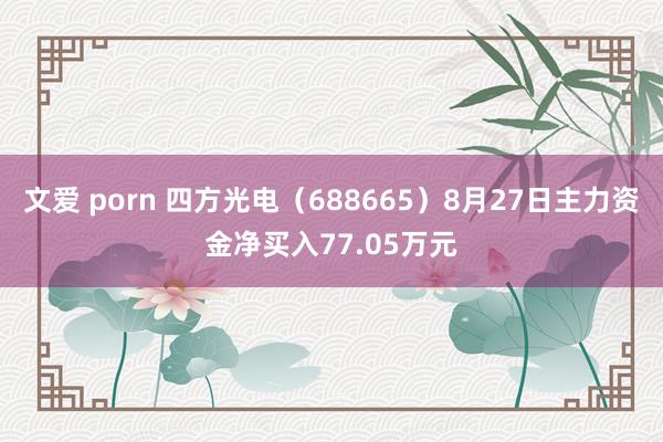 文爱 porn 四方光电（688665）8月27日主力资金净买入77.05万元