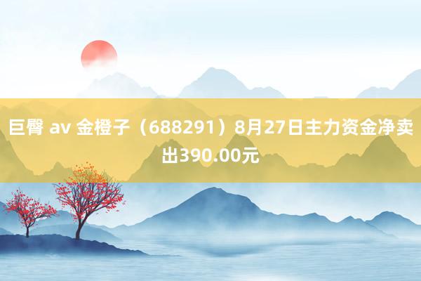 巨臀 av 金橙子（688291）8月27日主力资金净卖出390.00元