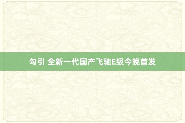 勾引 全新一代国产飞驰E级今晚首发