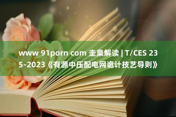 www 91porn com 圭臬解读 | T/CES 235-2023《有源中压配电网诡计技艺导则》