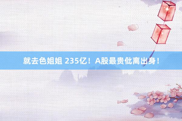 就去色姐姐 235亿！A股最贵仳离出身！