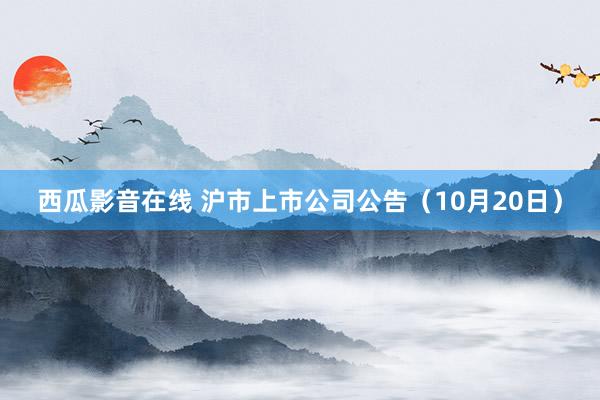 西瓜影音在线 沪市上市公司公告（10月20日）