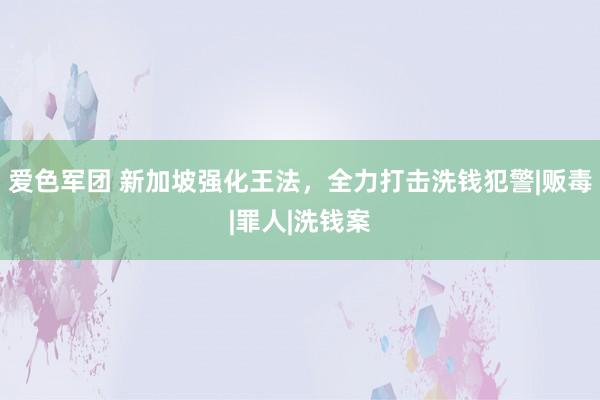 爱色军团 新加坡强化王法，全力打击洗钱犯警|贩毒|罪人|洗钱案