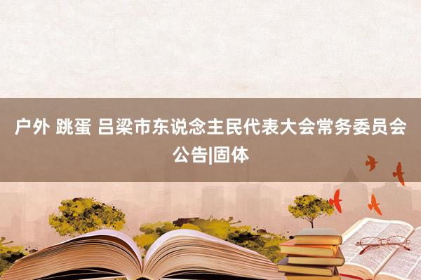 户外 跳蛋 吕梁市东说念主民代表大会常务委员会公告|固体